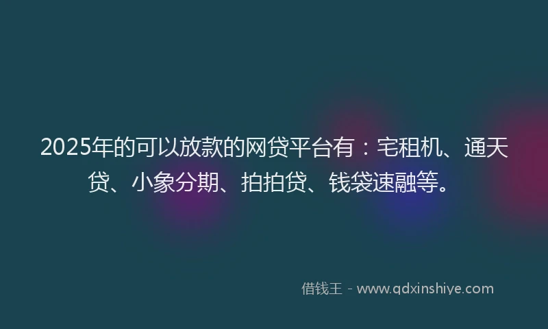2025年的可以放款的网贷平台有：宅租机、通天贷、小象分期、拍拍贷、钱袋速融等。