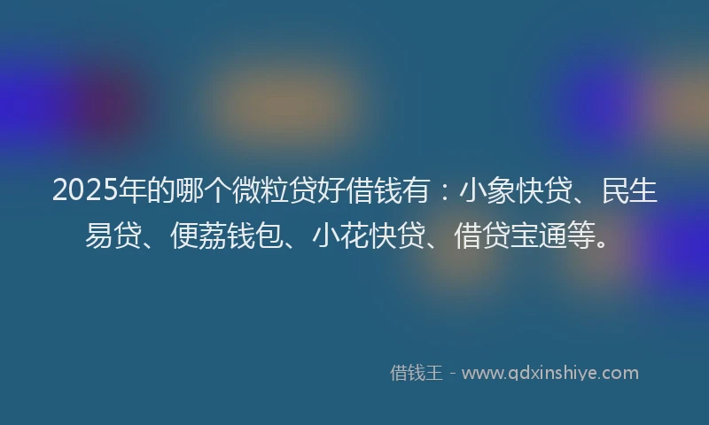 2025年的哪个微粒贷好借钱有：小象快贷、民生易贷、便荔钱包、小花快贷、借贷宝通等。