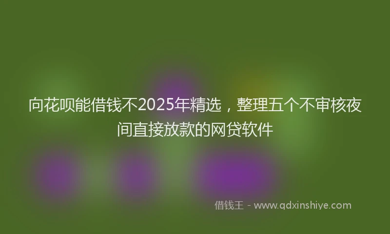 向花呗能借钱不2025年精选，整理五个不审核夜间直接放款的网贷软件