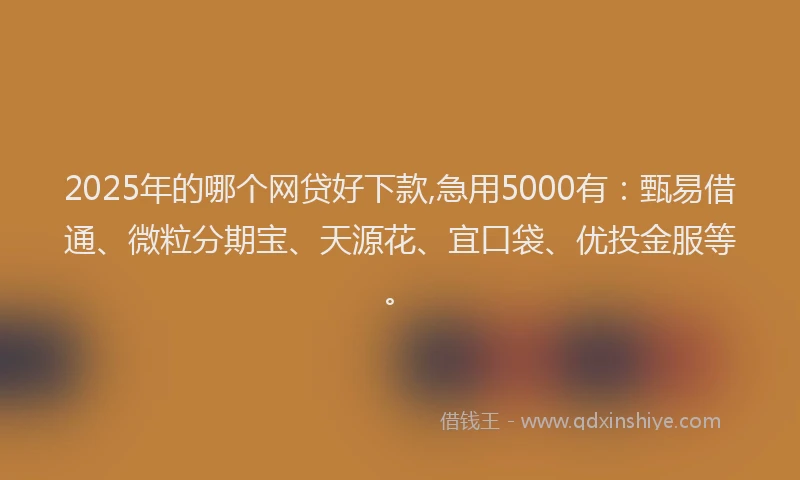 2025年的哪个网贷好下款,急用5000有：甄易借通、微粒分期宝、天源花、宜口袋、优投金服等。