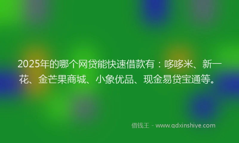 2025年的哪个网贷能快速借款有：哆哆米、新一花、金芒果商城、小象优品、现金易贷宝通等。