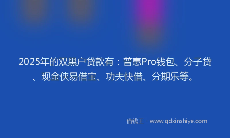 2025年的双黑户贷款有：普惠Pro钱包、分子贷、现金侠易借宝、功夫快借、分期乐等。