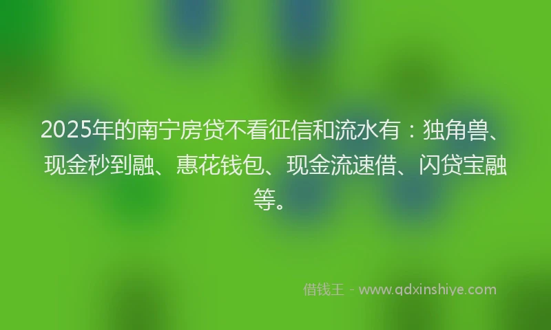 2025年的南宁房贷不看征信和流水有：独角兽、现金秒到融、惠花钱包、现金流速借、闪贷宝融等。