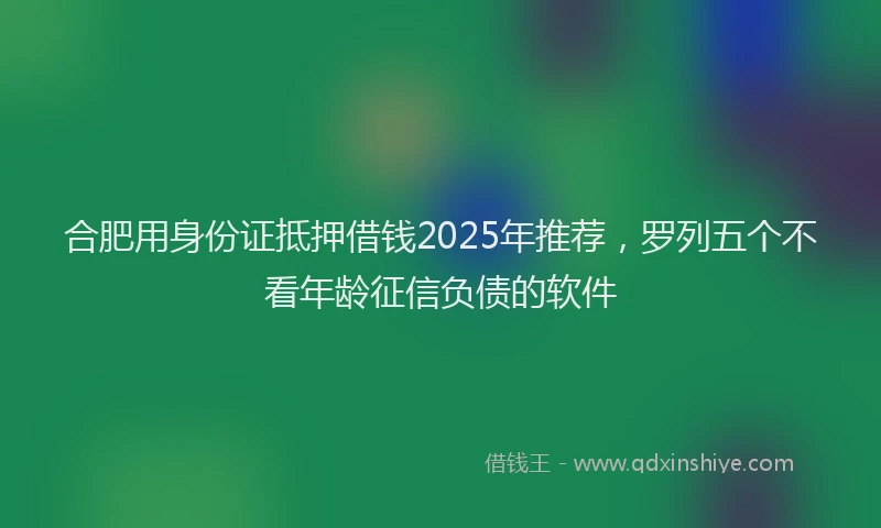 合肥用身份证抵押借钱2025年推荐，罗列五个不看年龄征信负债的软件