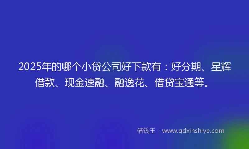 2025年的哪个小贷公司好下款有：好分期、星辉借款、现金速融、融逸花、借贷宝通等。
