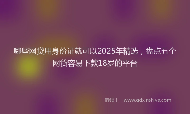 哪些网贷用身份证就可以2025年精选，盘点五个网贷容易下款18岁的平台