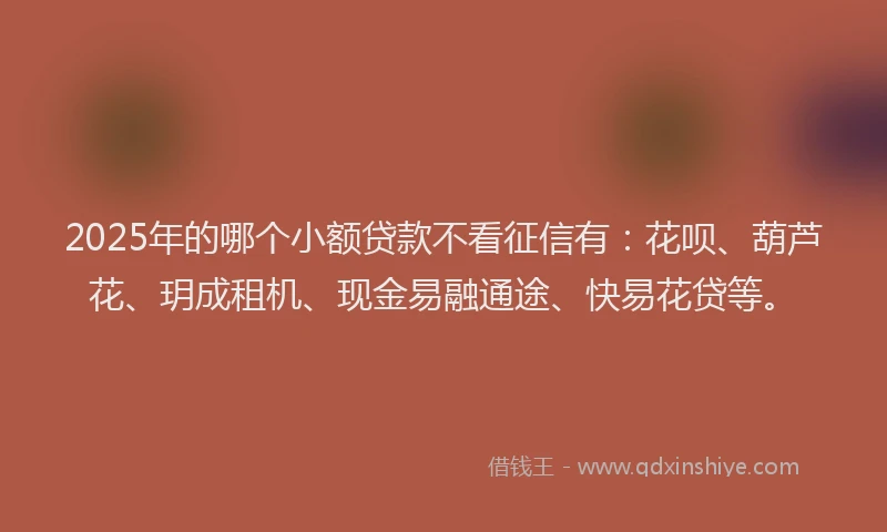 2025年的哪个小额贷款不看征信有：花呗、葫芦花、玥成租机、现金易融通途、快易花贷等。