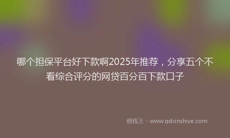 哪个担保平台好下款啊2025年推荐，分享五个不看综合评分的网贷百分百下款口子