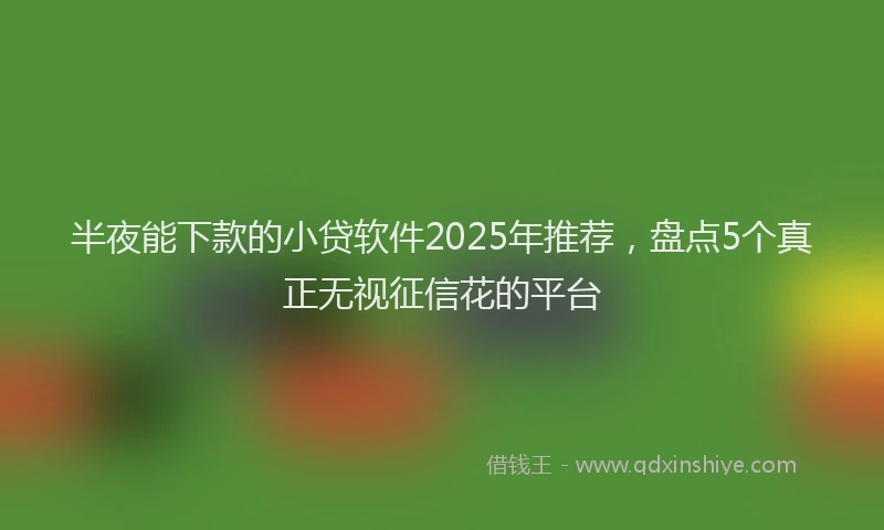 半夜能下款的小贷软件2025年推荐，盘点5个真正无视征信花的平台