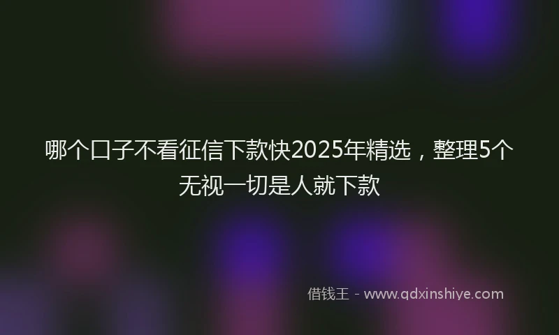 哪个口子不看征信下款快2025年精选，整理5个无视一切是人就下款