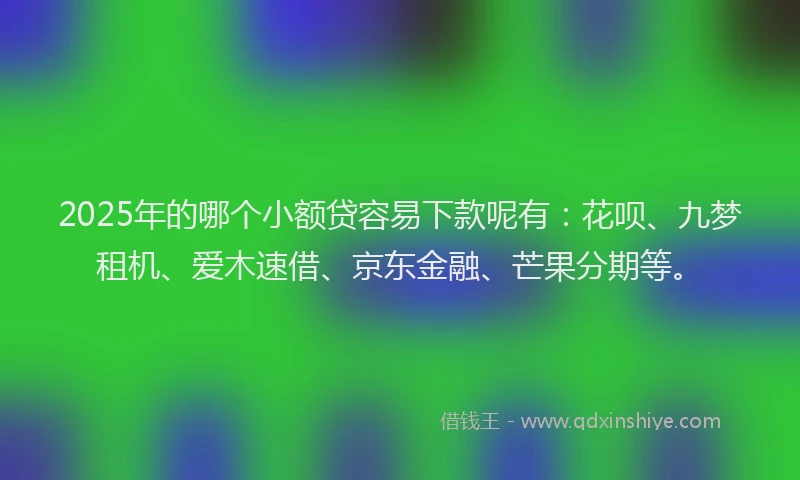 2025年的哪个小额贷容易下款呢有：花呗、九梦租机、爱木速借、京东金融、芒果分期等。
