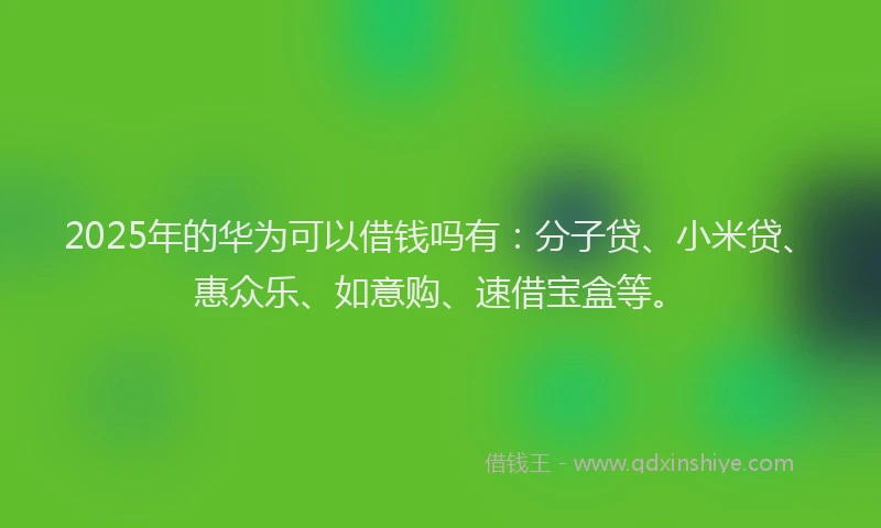 2025年的华为可以借钱吗有：分子贷、小米贷、惠众乐、如意购、速借宝盒等。