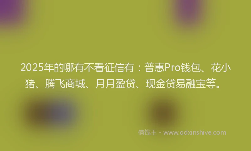 2025年的哪有不看征信有：普惠Pro钱包、花小猪、腾飞商城、月月盈贷、现金贷易融宝等。