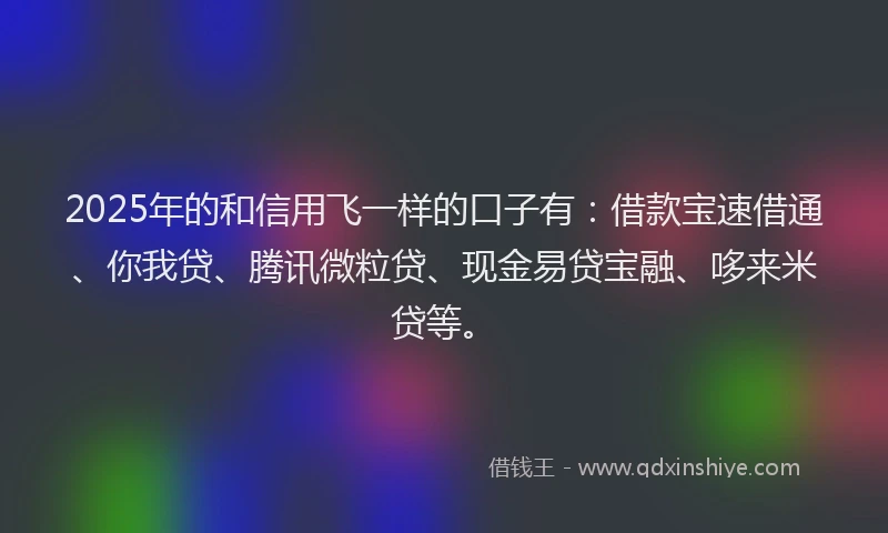 2025年的和信用飞一样的口子有：借款宝速借通、你我贷、腾讯微粒贷、现金易贷宝融、哆来米贷等。