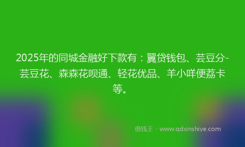2025年的同城金融好下款有：翼贷钱包、芸豆分-芸豆花、森森花呗通、轻花优品、羊小咩便荔卡等。