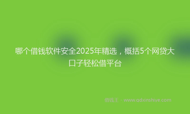 哪个借钱软件安全2025年精选，概括5个网贷大口子轻松借平台