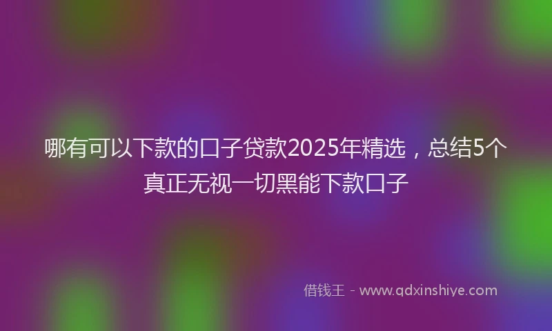 哪有可以下款的口子贷款2025年精选，总结5个真正无视一切黑能下款口子