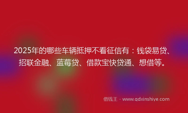 2025年的哪些车辆抵押不看征信有：钱袋易贷、招联金融、蓝莓贷、借款宝快贷通、想借等。