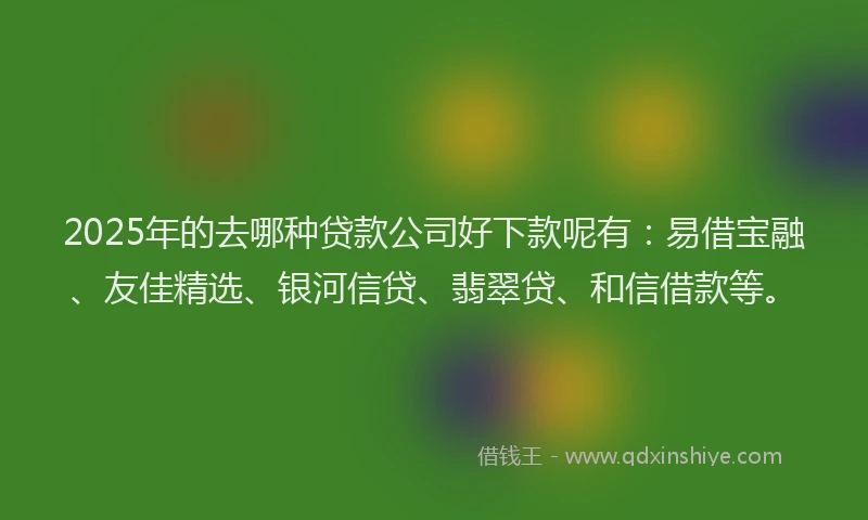 2025年的去哪种贷款公司好下款呢有：易借宝融、友佳精选、银河信贷、翡翠贷、和信借款等。