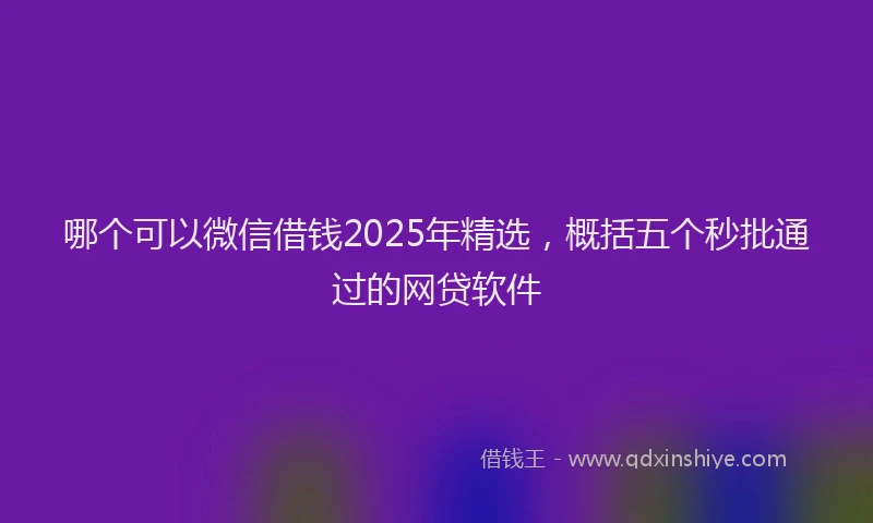 哪个可以微信借钱2025年精选，概括五个秒批通过的网贷软件