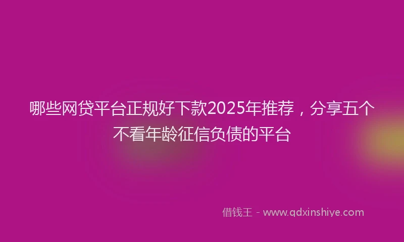 哪些网贷平台正规好下款2025年推荐，分享五个不看年龄征信负债的平台