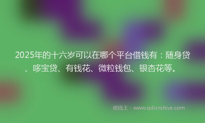 2025年的十六岁可以在哪个平台借钱有：随身贷、哆宝贷、有钱花、微粒钱包、银杏花等。