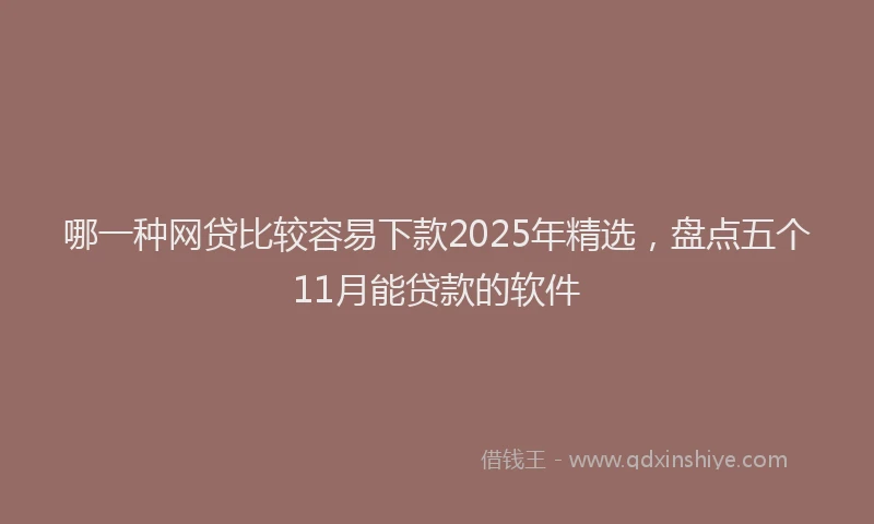 哪一种网贷比较容易下款2025年精选，盘点五个11月能贷款的软件