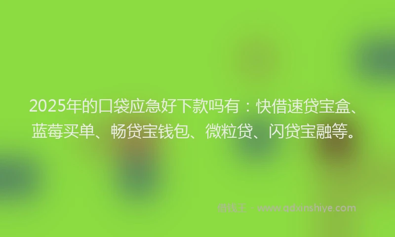 2025年的口袋应急好下款吗有：快借速贷宝盒、蓝莓买单、畅贷宝钱包、微粒贷、闪贷宝融等。