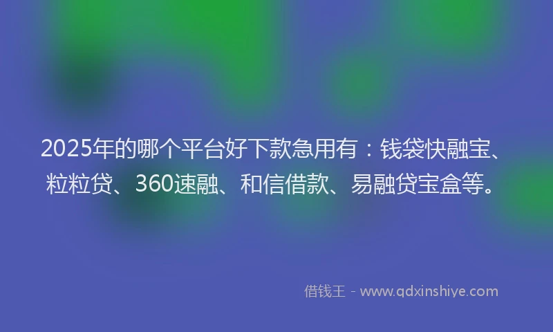 2025年的哪个平台好下款急用有：钱袋快融宝、粒粒贷、360速融、和信借款、易融贷宝盒等。