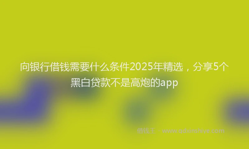 向银行借钱需要什么条件2025年精选，分享5个黑白贷款不是高炮的app