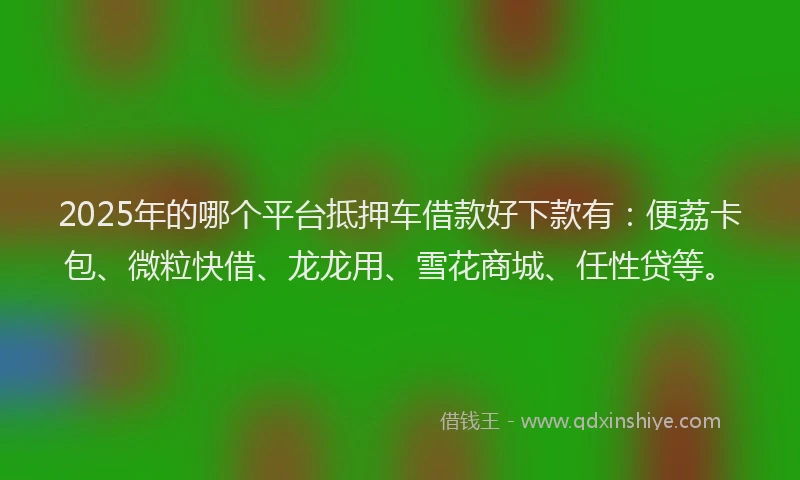 2025年的哪个平台抵押车借款好下款有：便荔卡包、微粒快借、龙龙用、雪花商城、任性贷等。
