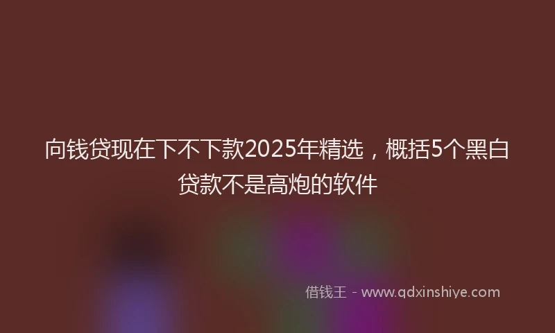 向钱贷现在下不下款2025年精选，概括5个黑白贷款不是高炮的软件