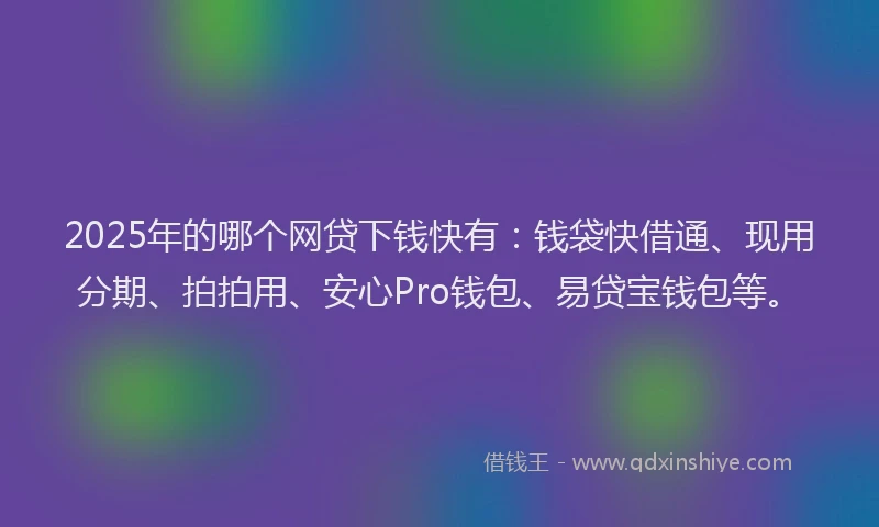 2025年的哪个网贷下钱快有：钱袋快借通、现用分期、拍拍用、安心Pro钱包、易贷宝钱包等。