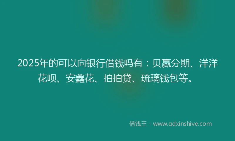 2025年的可以向银行借钱吗有：贝赢分期、洋洋花呗、安鑫花、拍拍贷、琉璃钱包等。