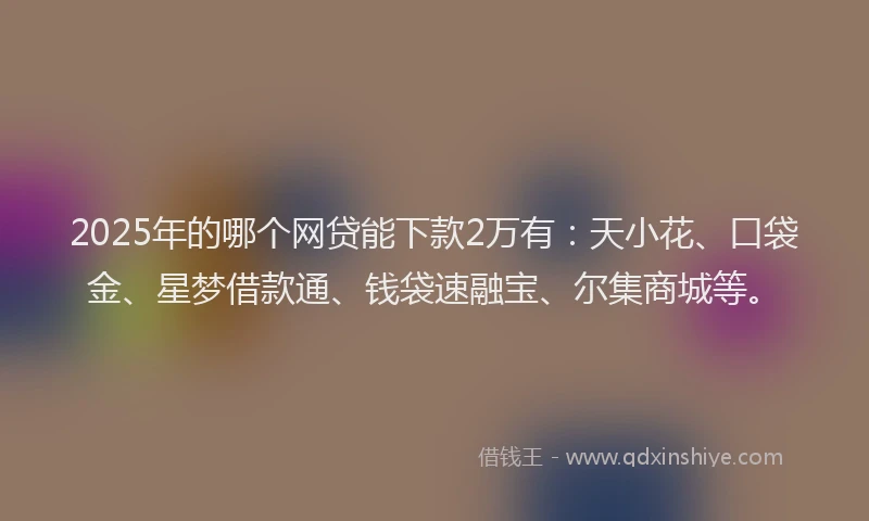 2025年的哪个网贷能下款2万有：天小花、口袋金、星梦借款通、钱袋速融宝、尔集商城等。