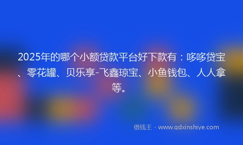 2025年的哪个小额贷款平台好下款有：哆哆贷宝、零花罐、贝乐享-飞鑫琼宝、小鱼钱包、人人拿等。