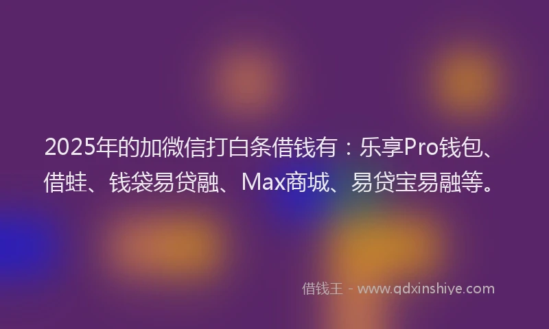 2025年的加微信打白条借钱有：乐享Pro钱包、借蛙、钱袋易贷融、Max商城、易贷宝易融等。