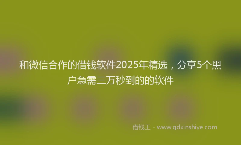 和微信合作的借钱软件2025年精选，分享5个黑户急需三万秒到的的软件