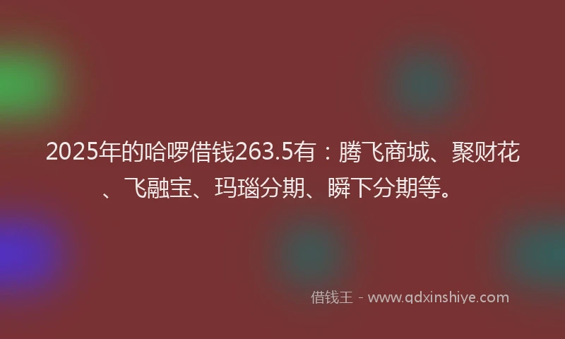 2025年的哈啰借钱263.5有：腾飞商城、聚财花、飞融宝、玛瑙分期、瞬下分期等。