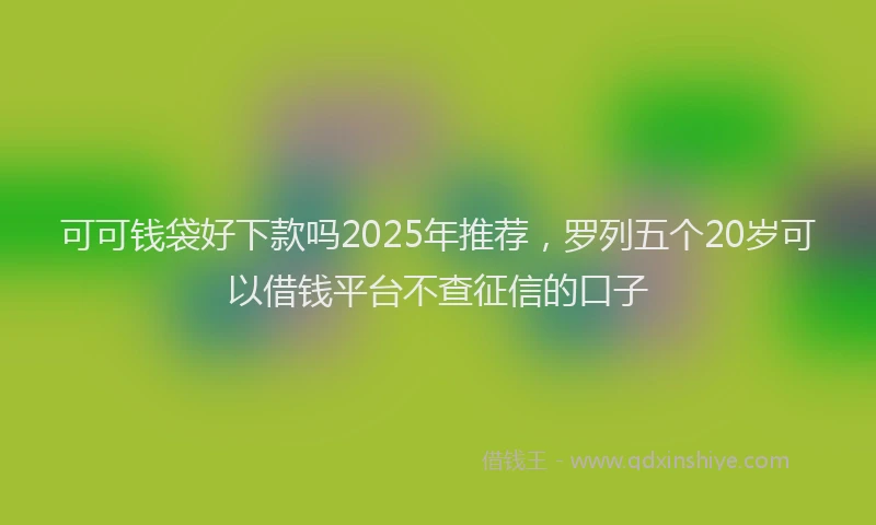 可可钱袋好下款吗2025年推荐，罗列五个20岁可以借钱平台不查征信的口子