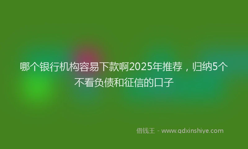 哪个银行机构容易下款啊2025年推荐，归纳5个不看负债和征信的口子