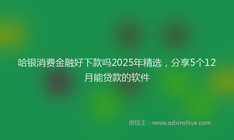 哈银消费金融好下款吗2025年精选，分享5个12月能贷款的软件