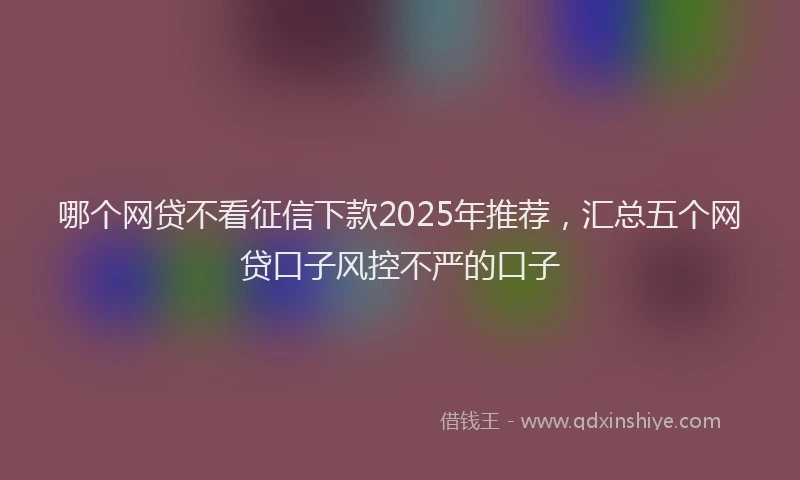 哪个网贷不看征信下款2025年推荐，汇总五个网贷口子风控不严的口子