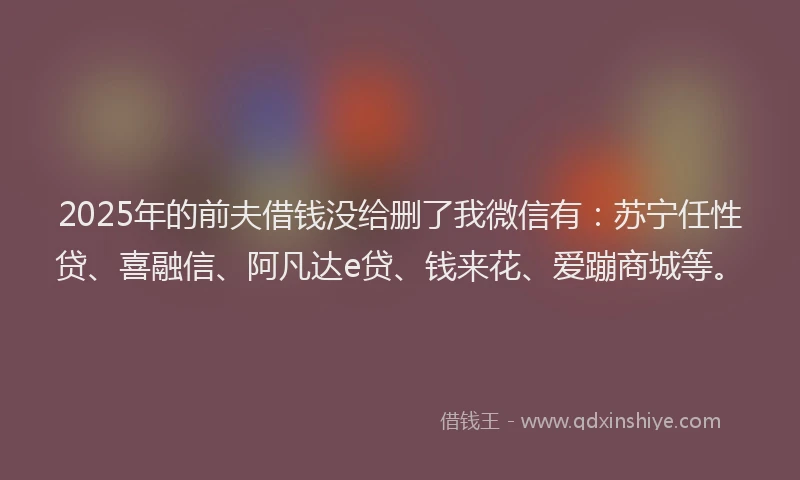 2025年的前夫借钱没给删了我微信有：苏宁任性贷、喜融信、阿凡达e贷、钱来花、爱蹦商城等。