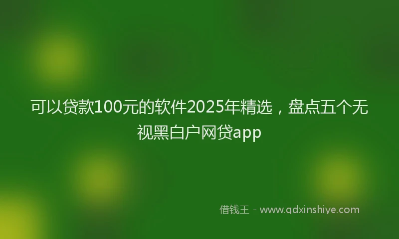 可以贷款100元的软件2025年精选，盘点五个无视黑白户网贷app