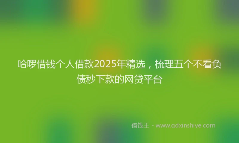 哈啰借钱个人借款2025年精选，梳理五个不看负债秒下款的网贷平台