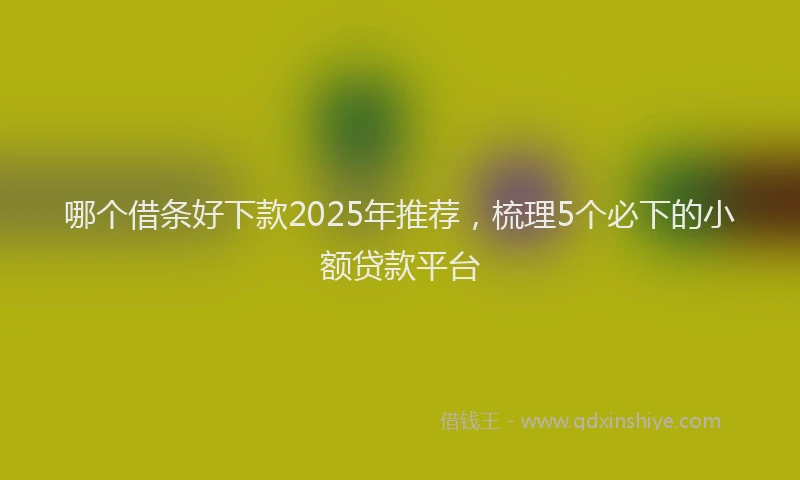 哪个借条好下款2025年推荐，梳理5个必下的小额贷款平台