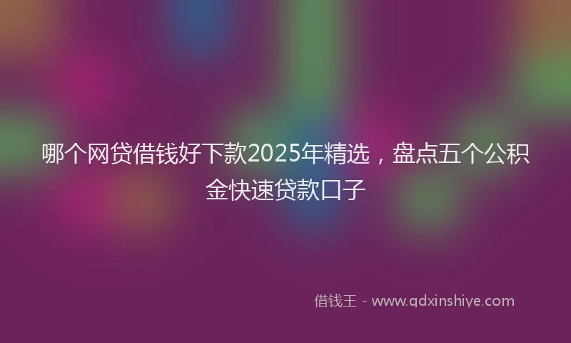 哪个网贷借钱好下款2025年精选，盘点五个公积金快速贷款口子