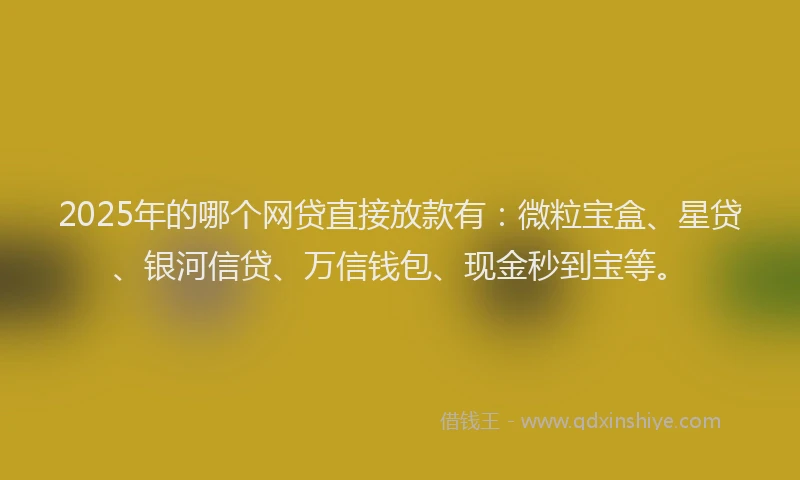 2025年的哪个网贷直接放款有：微粒宝盒、星贷、银河信贷、万信钱包、现金秒到宝等。