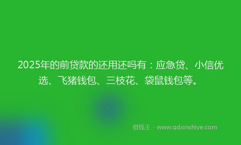 2025年的前贷款的还用还吗有：应急贷、小信优选、飞猪钱包、三枝花、袋鼠钱包等。